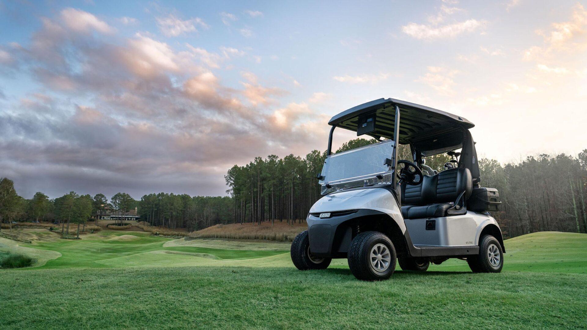 golf buggy golf buggy